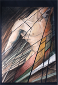 cubierta 2009